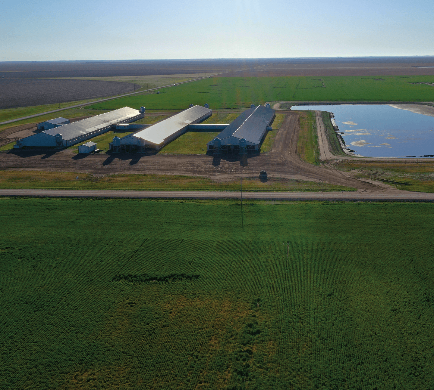 Prairie Fresh® hog barns with lagoon surrounded by open green fields.