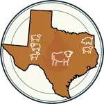 Texas map illustration